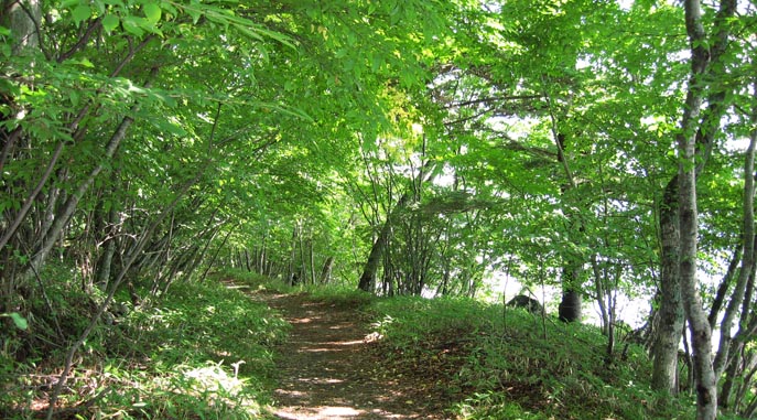 メインビジュアル